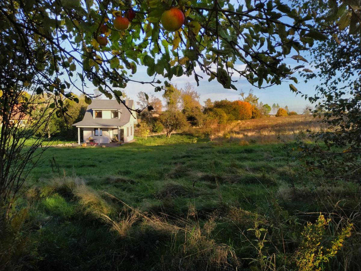 Villa Chwila Pauzy Tolkmicko Esterno foto