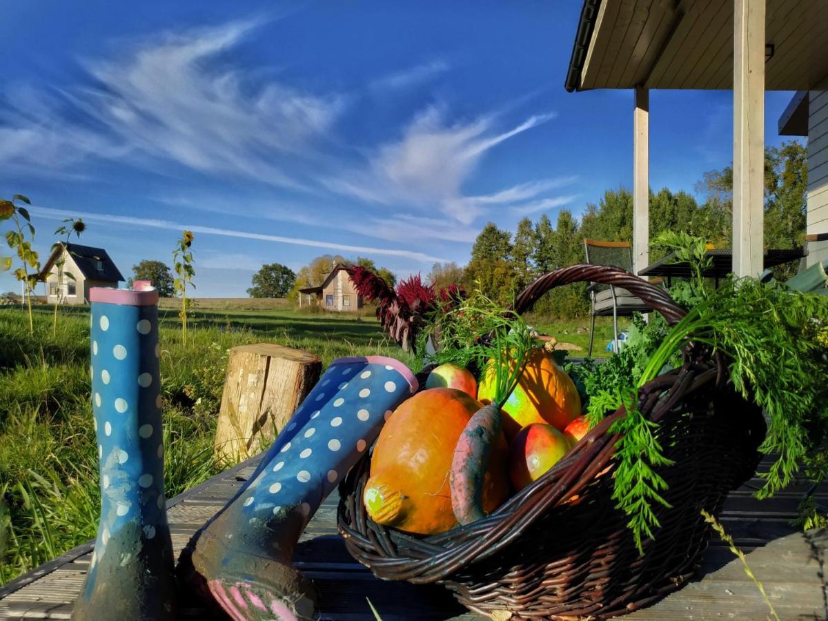 Villa Chwila Pauzy Tolkmicko Esterno foto